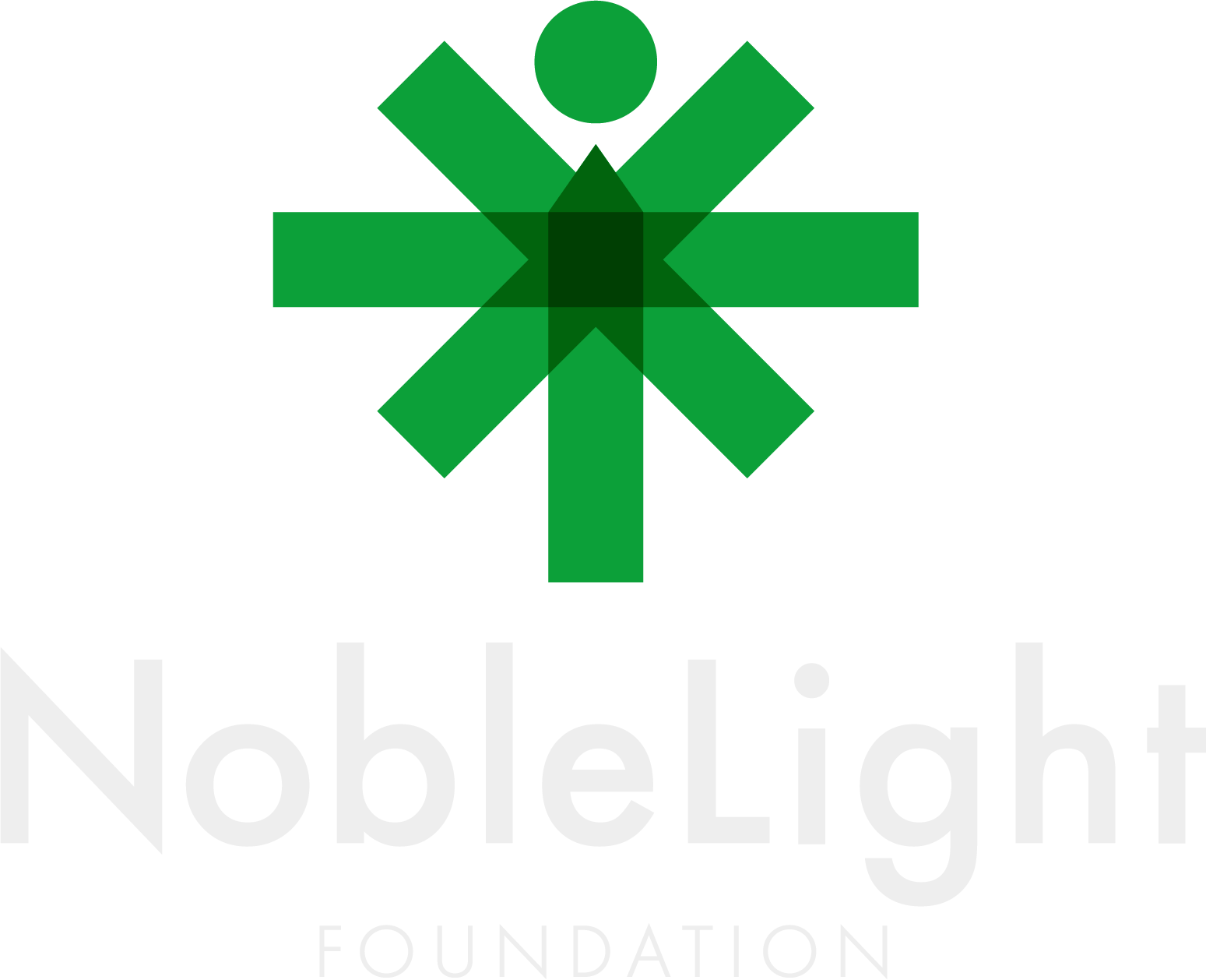 NobleLight Logo